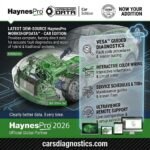 HaynesPro WorkshopData 1-Year Online Access